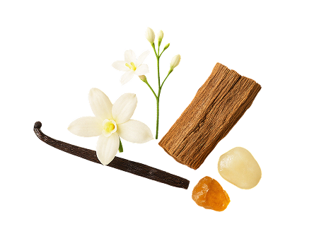 Vanilla and warm wood scent notes